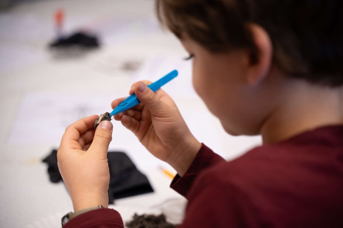 Homeschool Adventures