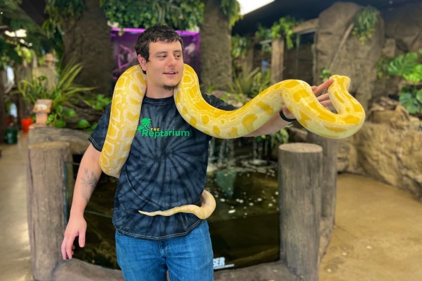 Sensory Friendly Night