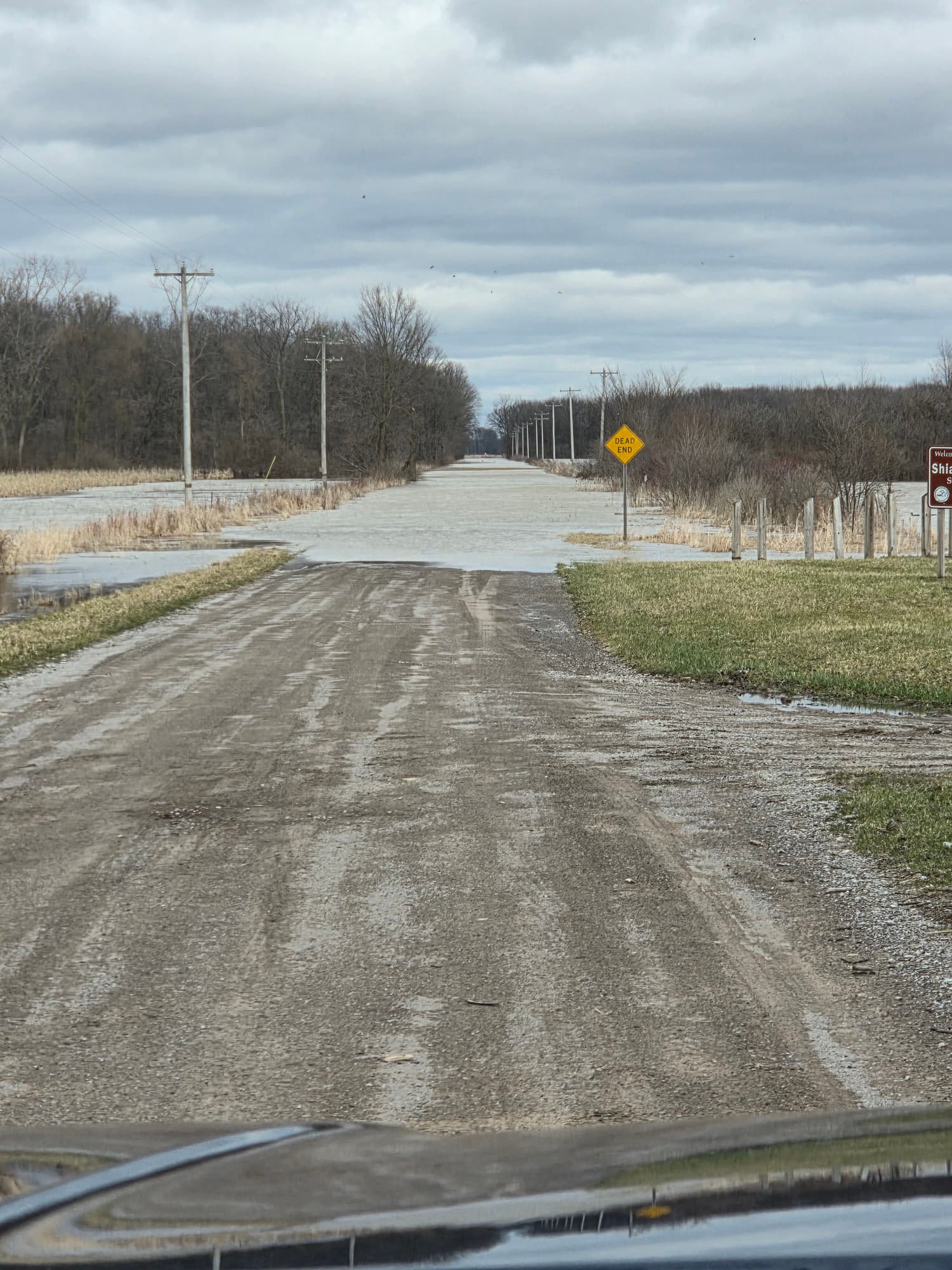 Nayanquing Point State Wildlife Area - Spring Birding Tour