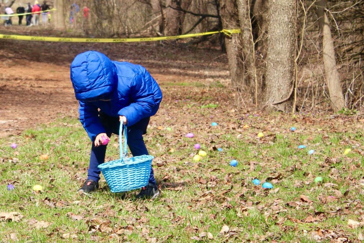 Spring Fest Egg Hunt